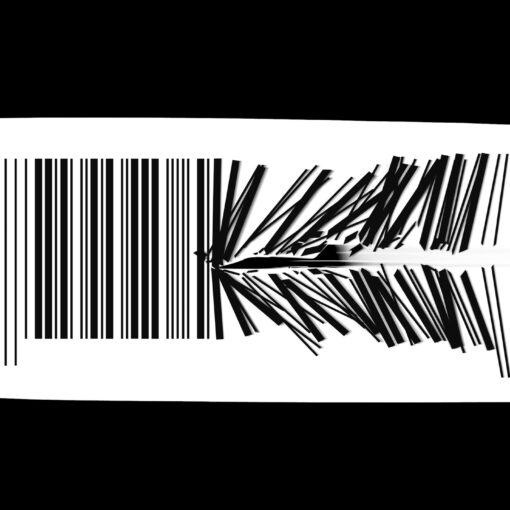 traceability